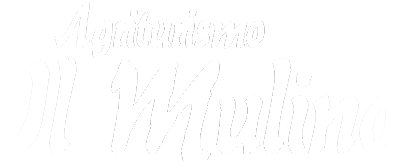 logo mulino ortano